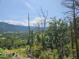 2330 Surries High Top Way - Photo 16