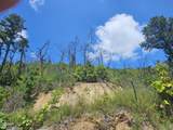 2330 Surries High Top Way - Photo 4
