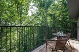 4222 Dollys Drive - Photo 57