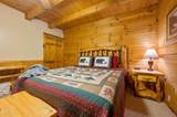 3619 Country Pines Way - Photo 26