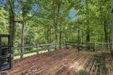 2459 Amanda Lane - Photo 40