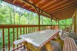 2230 Cove Creek Drive - Photo 5
