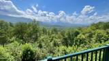 3710 Weber Road - Photo 5