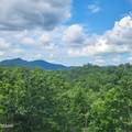 2065 Spurling Road - Photo 6