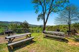 3710 Weber Road - Photo 44