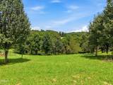 Lot 47 River Cliff Drive - Photo 1