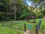 2653 Black Walnut Flats Road - Photo 34