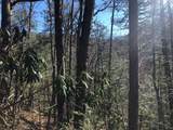 Lot 53 Magnolia Place - Photo 8