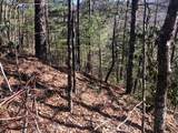 Lot 53 Magnolia Place - Photo 9
