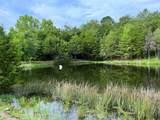 790 Lonesome Pine Road - Photo 5