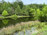 790 Lonesome Pine Road - Photo 6