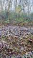  Manis Hollow Road - Photo 3