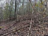 Lot 10 Black Gum Road - Photo 3