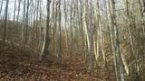 Lots 5 and 6 Red Maple Lane - Photo 1