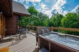 3902 Duck Hollow Road - Photo 6