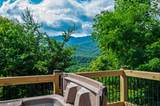 3902 Duck Hollow Road - Photo 61