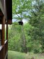 3902 Duck Hollow Road - Photo 66
