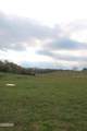 637 Sharp Road - Photo 1