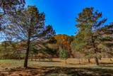 1125 Old Solomon Ferry Rd - Photo 58