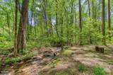 2561 Black Bear Lane - Photo 29
