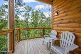 1868 Blue Tick Way - Photo 16