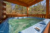 3214 Bear Country Way - Photo 25