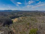 3214 Bear Country Way - Photo 34