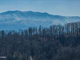 3214 Bear Country Way - Photo 4