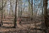Lot 10 Tarwater Lane - Photo 9