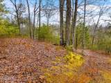 Lot 2 Needles Way - Photo 10