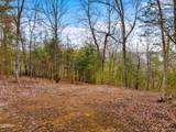 Lot 2 Needles Way - Photo 11