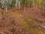 Lot 2 Needles Way - Photo 8