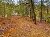 Lot 2 Needles Way - Photo 9