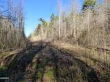 0 Phillip Hollow Road - Photo 10