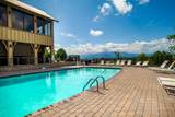 2220 Towering Hemlock Drive - Photo 47