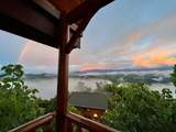 2220 Towering Hemlock Drive - Photo 53