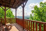 2220 Towering Hemlock Drive - Photo 54
