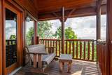 2220 Towering Hemlock Drive - Photo 55