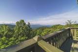 1020 Clingmans View - Photo 8