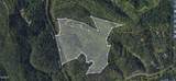 0 Rocky Creek Rd Road - Photo 3