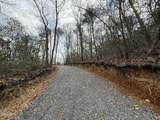 3.93 Green Forest Road - Photo 11
