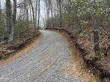 3.93 Green Forest Road - Photo 13