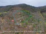 3.93 Green Forest Road - Photo 4