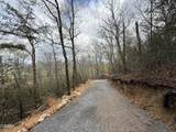 3.93 Green Forest Road - Photo 9