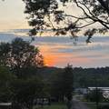 4220 Reed Road - Photo 33