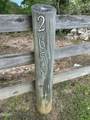 2659 Boyd's Creek Highway Highway - Photo 5