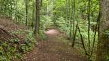 2537 Waldens Creek Road - Photo 42
