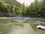 3114 Hatcher Top Road - Photo 50