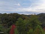 Lot 18 Turkey Creek Way - Photo 3