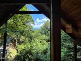 1625 Bluff Ridge Road - Photo 34
